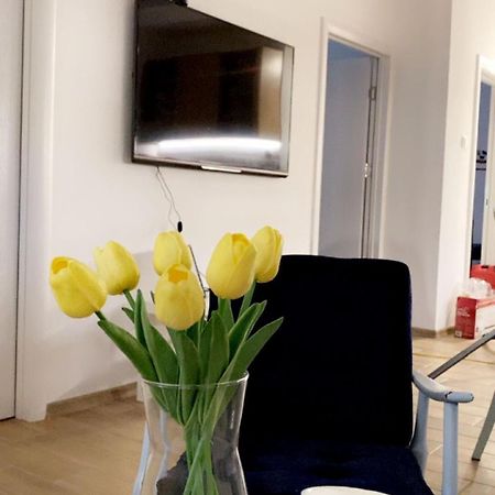 Vanja Apartman Вършац Екстериор снимка