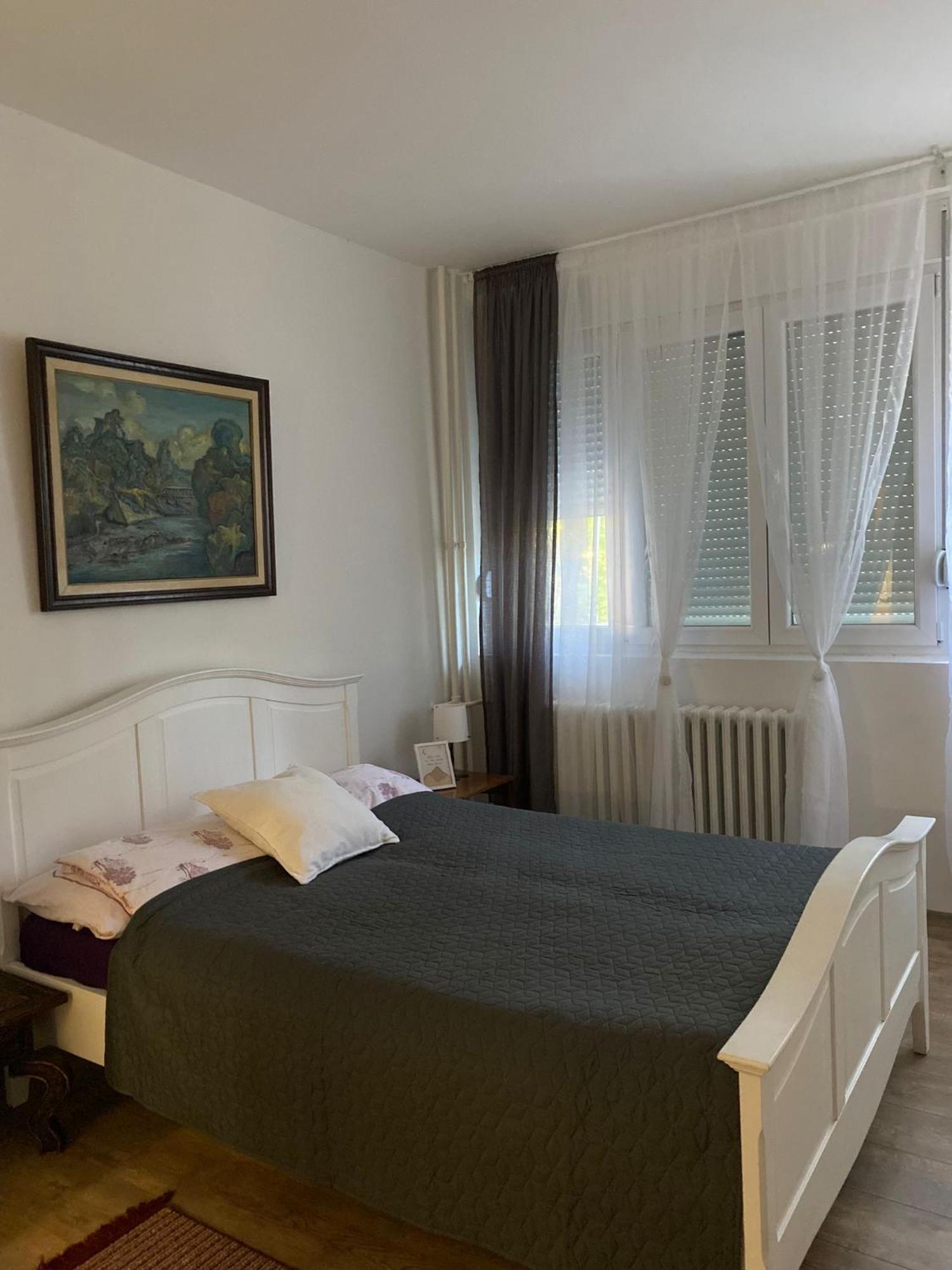 Vanja Apartman Вършац Екстериор снимка