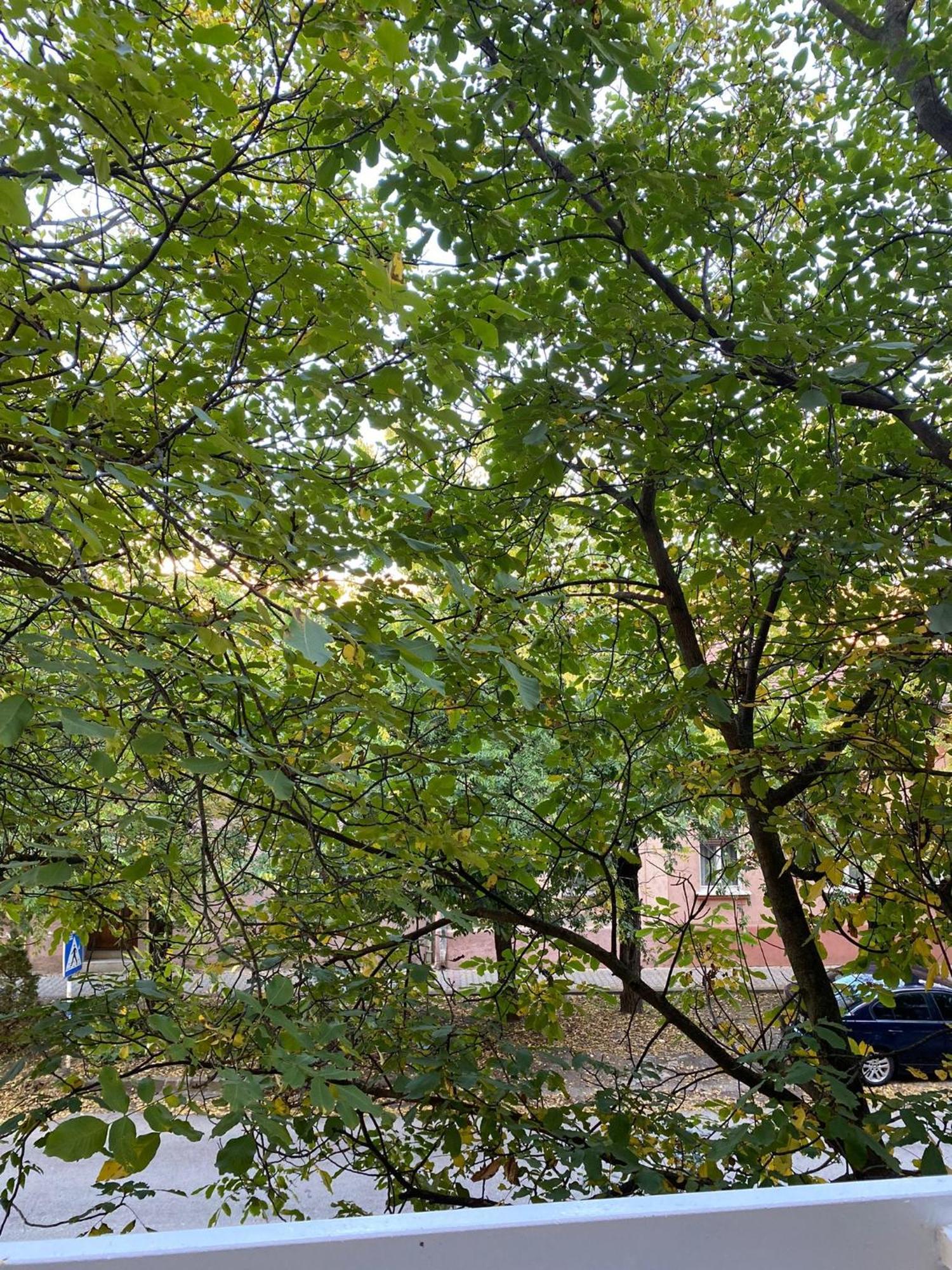 Vanja Apartman Вършац Екстериор снимка