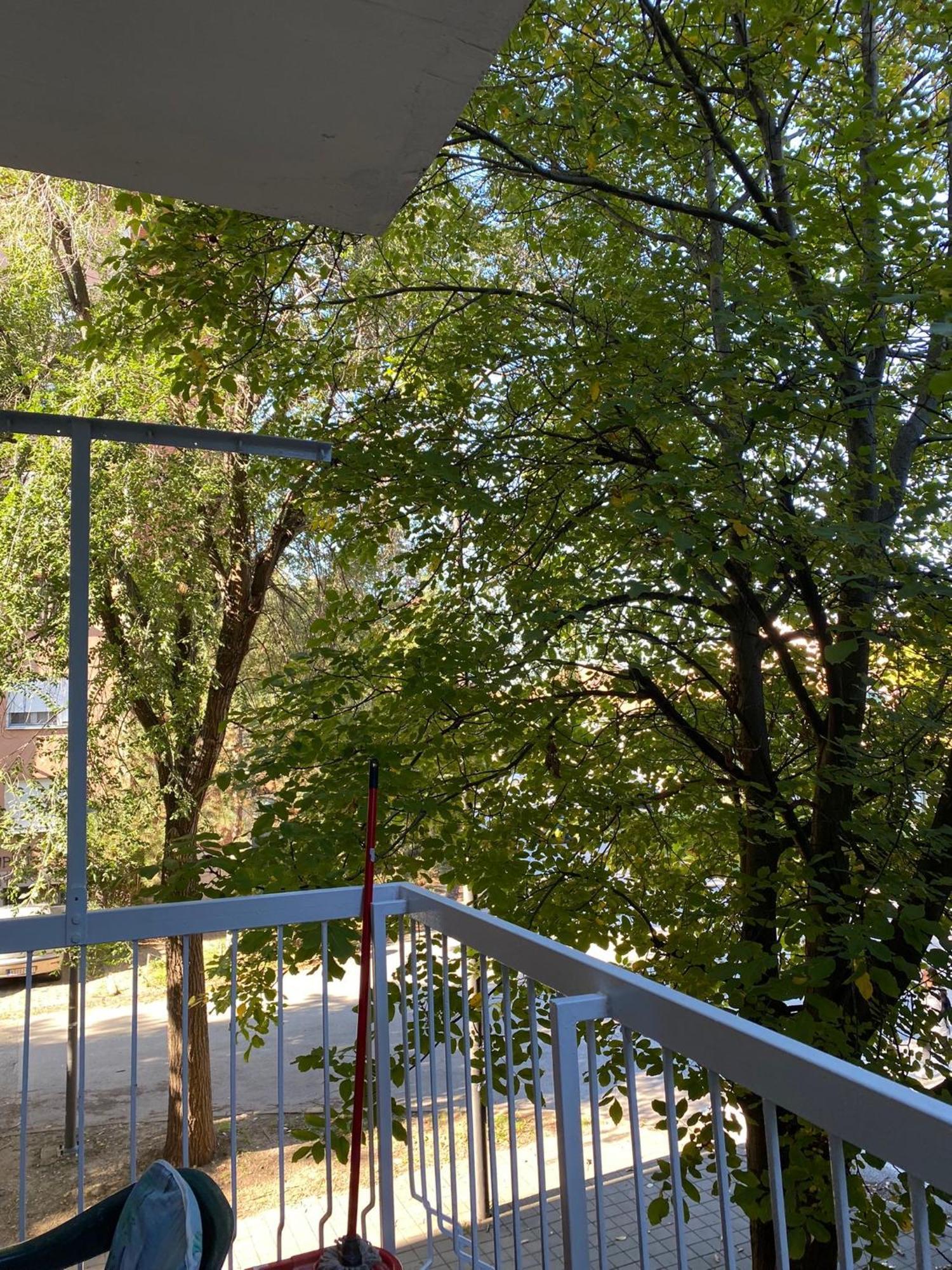 Vanja Apartman Вършац Екстериор снимка